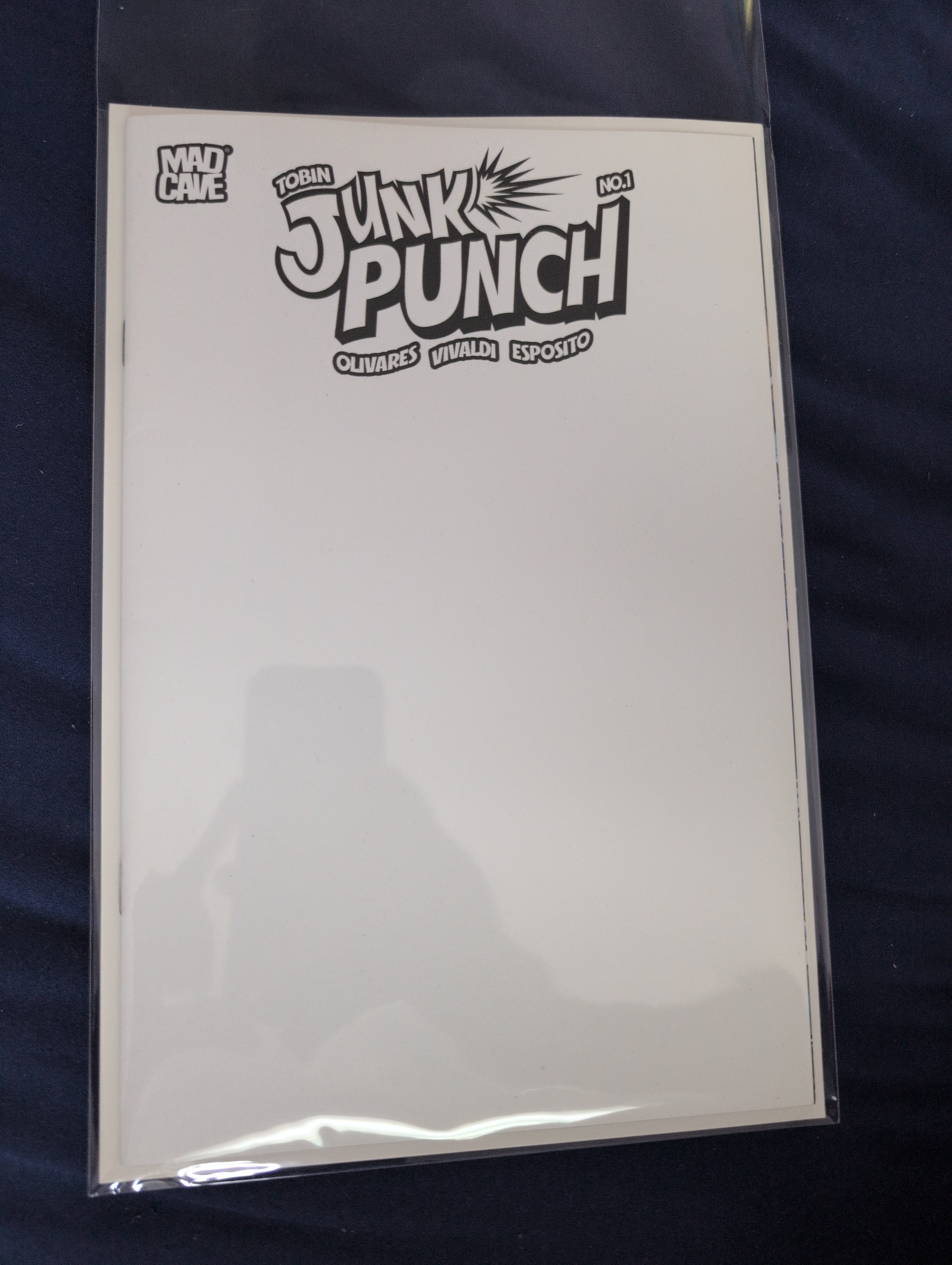 Junk punch #1 blank sketch cover