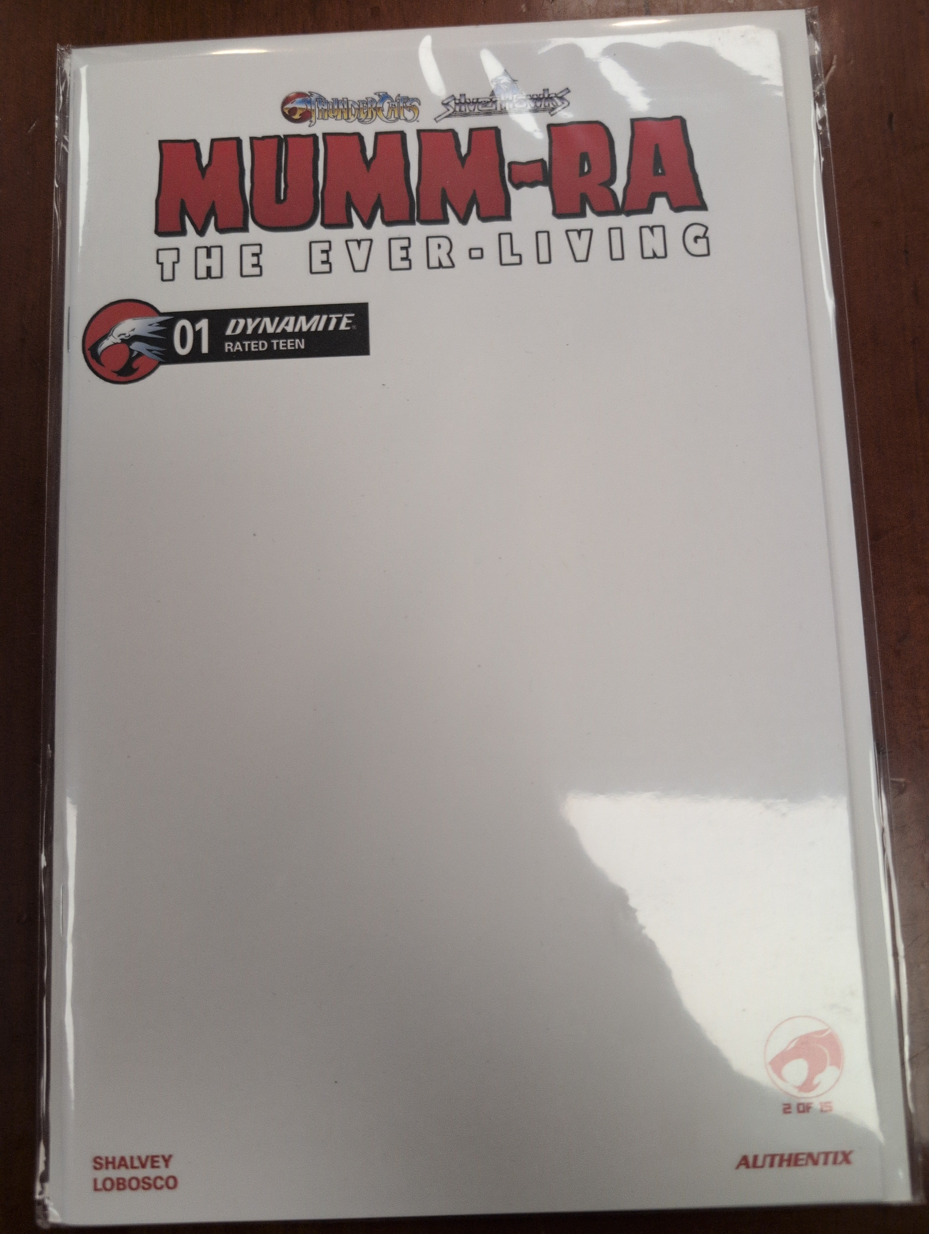 Mumm-ra #1 blank sketch cover