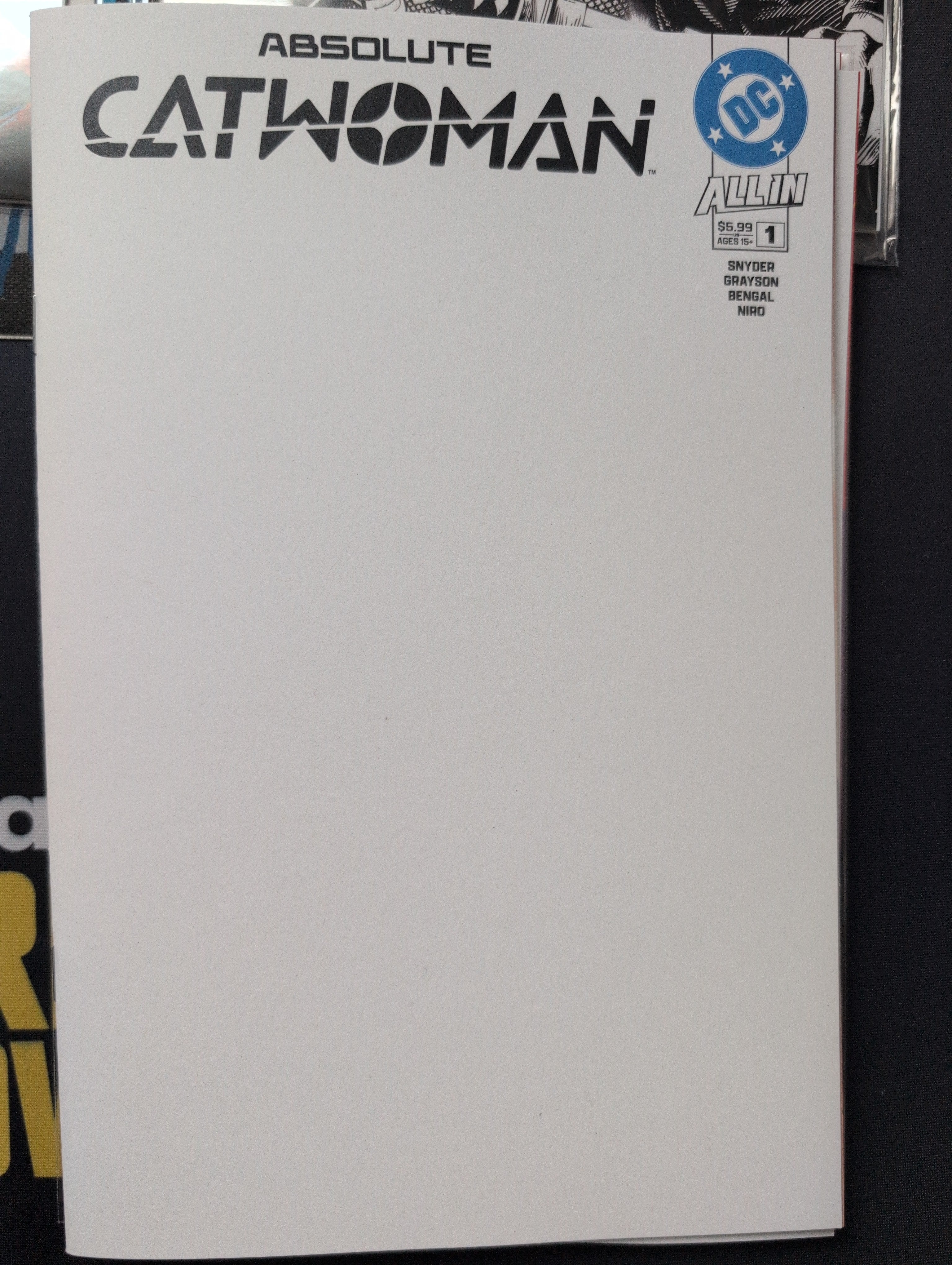 Absolute Catwoman #1 blank sketch cover